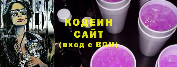 сатива Лабытнанги