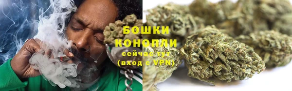 сатива Лабытнанги