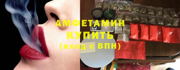 сатива Лабытнанги