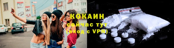 сатива Лабытнанги