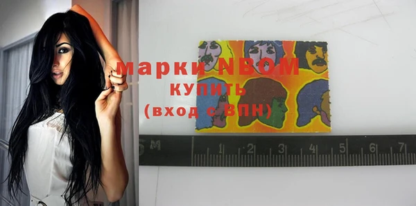 сатива Лабытнанги