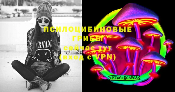 сатива Лабытнанги