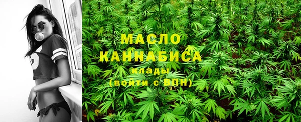 сатива Лабытнанги