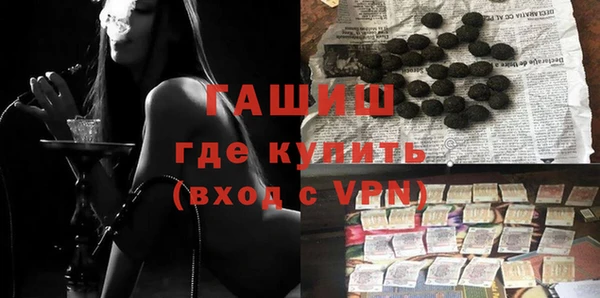 сатива Лабытнанги