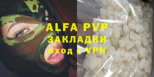 сатива Лабытнанги