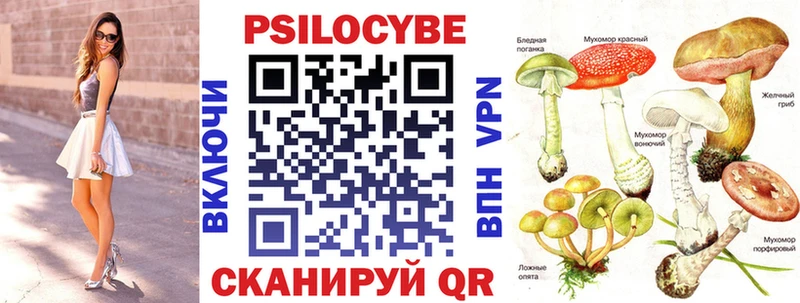 Псилоцибиновые грибы Psilocybine cubensis Ялуторовск