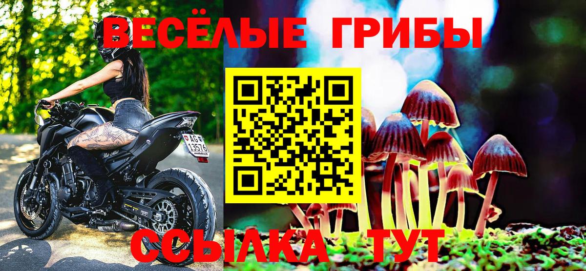 что такое   Псилоцибиновые грибы мухоморы  Вход с VPN  Ялуторовск 