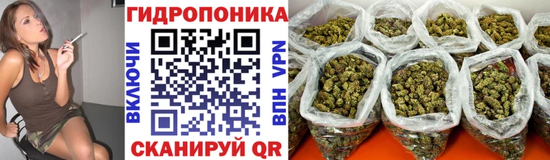 Бошки Шишки White Widow  закладка  Ялуторовск 